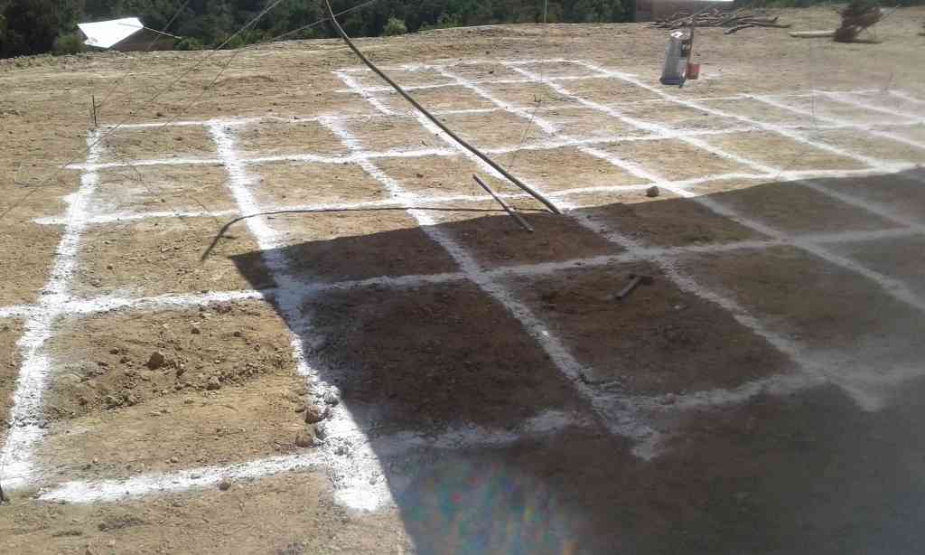 preparacion del terreno